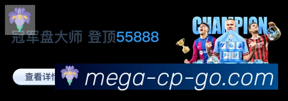 未来规划